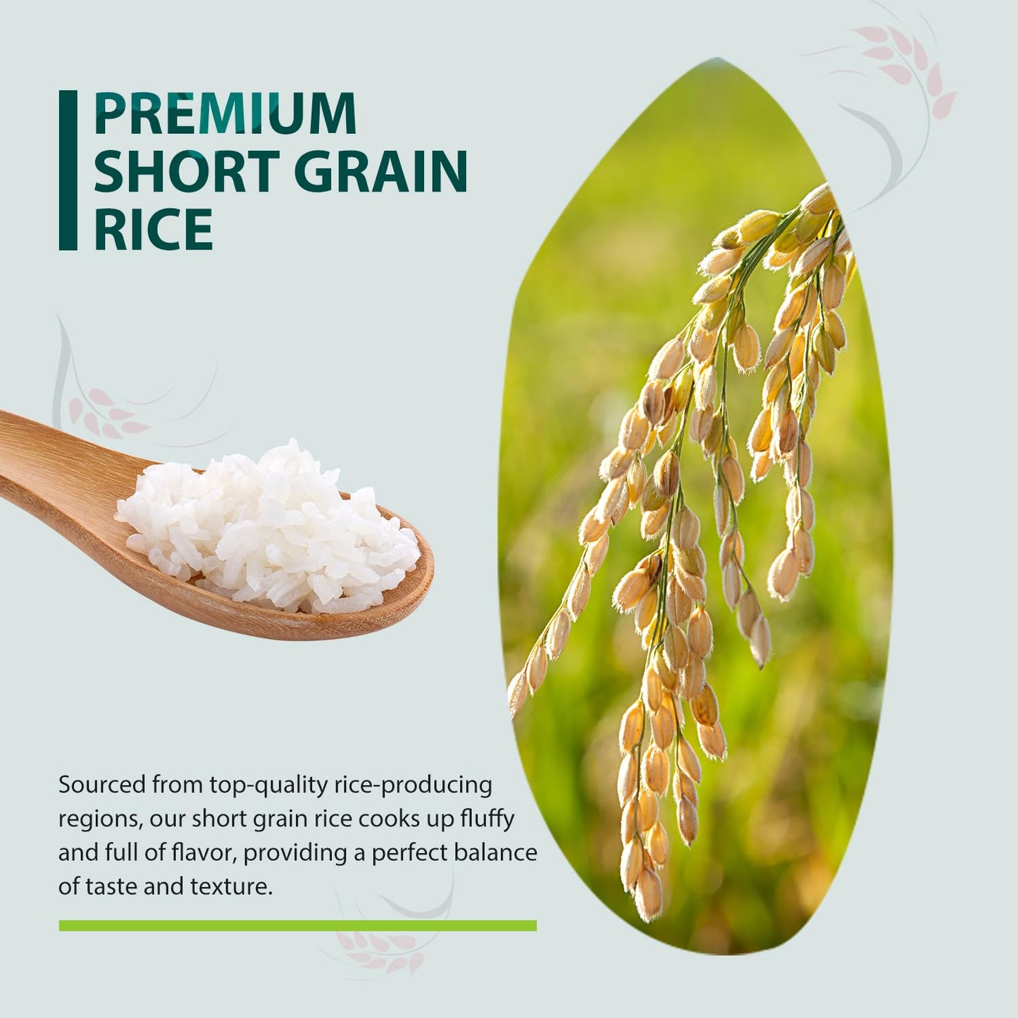 Soeos Sushi Rice 2 Pound - Short Grain Gluten-Free White Japonica Rice for Sushi Rolls and Mochi