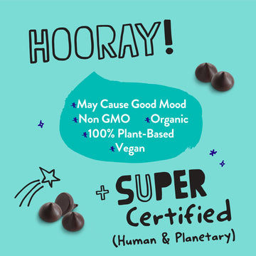 Pascha Bulk Organic Bitter Sweet, 85% Cacao, Mini Chocolate Chips, 10 Pounds
