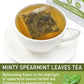 Olvvla Spearmint Tea Bags - 100% Pure Natural - Caffeine-free Herbal Tea - 50 Count