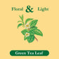 Tadin Green Tea, Herbal Tea, Green Tea Bags, Caffeinated Tea, Tea Bags Individually Wrapped, 24 Tea Bags, Pack of 6