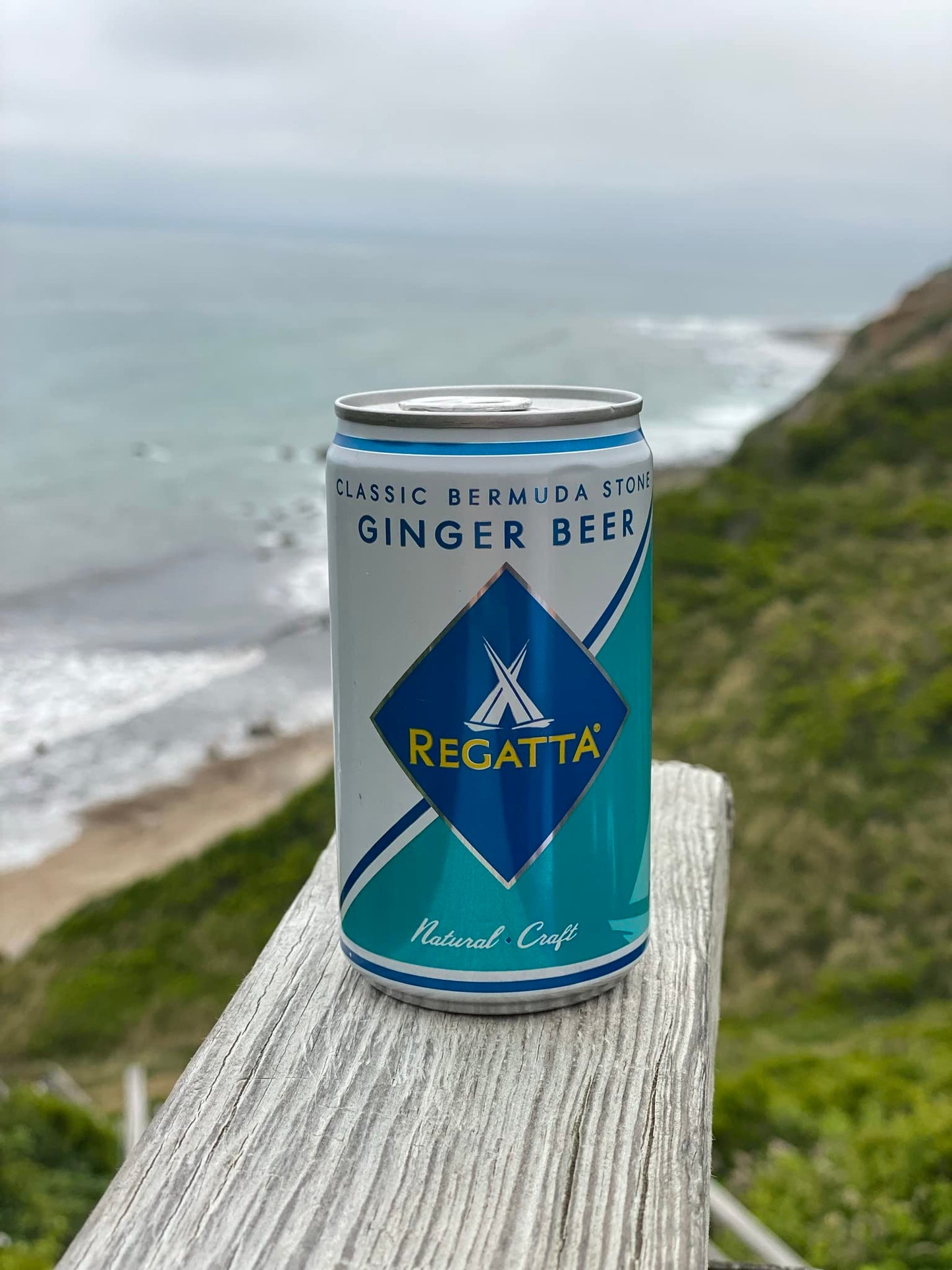 Regatta Ginger malt-inspired, Premium All-Natural Ingredients, Non-GMO, 7.5oz, Case of 24 Cans