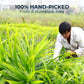 INJOY YOUR VITALGRI:N Natural Pandan Leaf Tea - Sweet & Fragrant Herbal Detox - 3 Oz Whole Leaves
