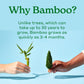 Caboo Tree Free Bamboo Toilet Paper, Plastic Free, Eco Friendly, Septic Safe, Biodegradable Bath Tissue With Soft, Quick Dissolving 2 Ply Sheets (300 Sheets Per Roll, 9 Double Rolls)