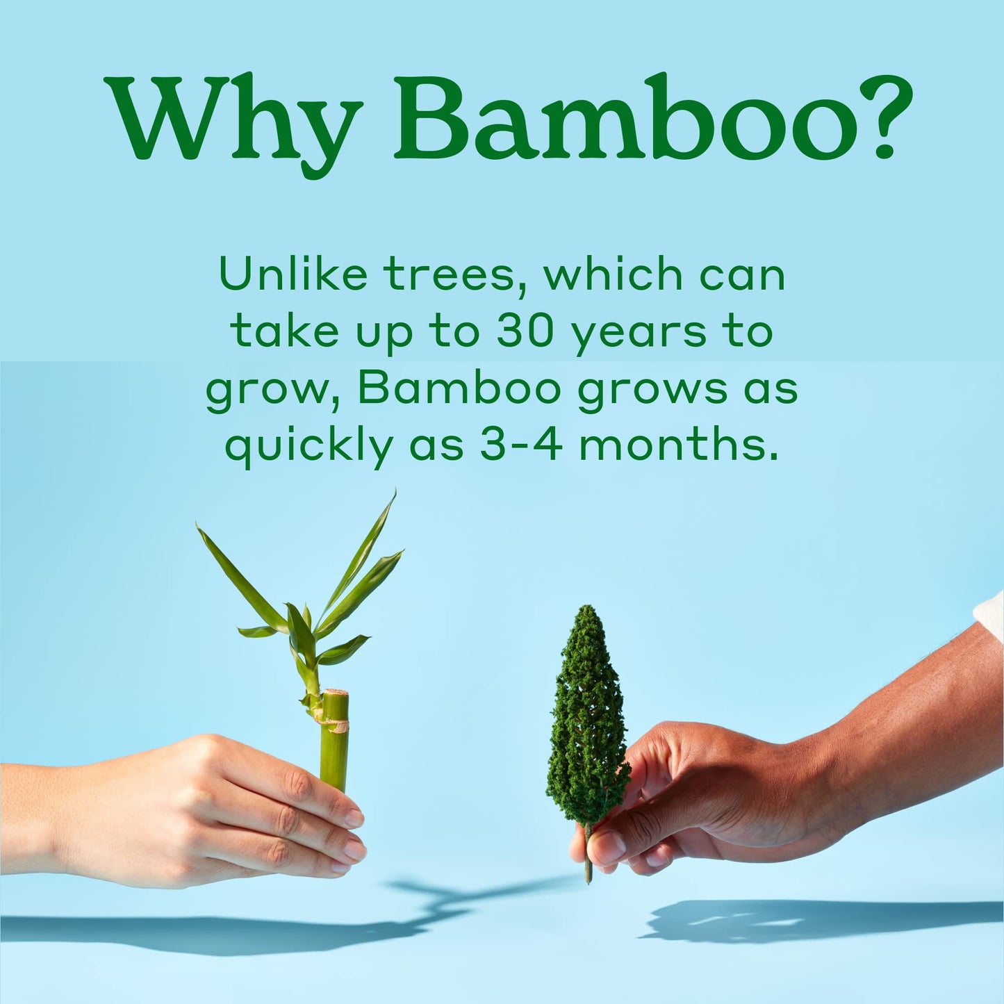 Caboo Tree Free Bamboo Toilet Paper, Plastic Free, Eco Friendly, Septic Safe, Biodegradable Bath Tissue With Soft, Quick Dissolving 2 Ply Sheets (300 Sheets Per Roll, 9 Double Rolls)
