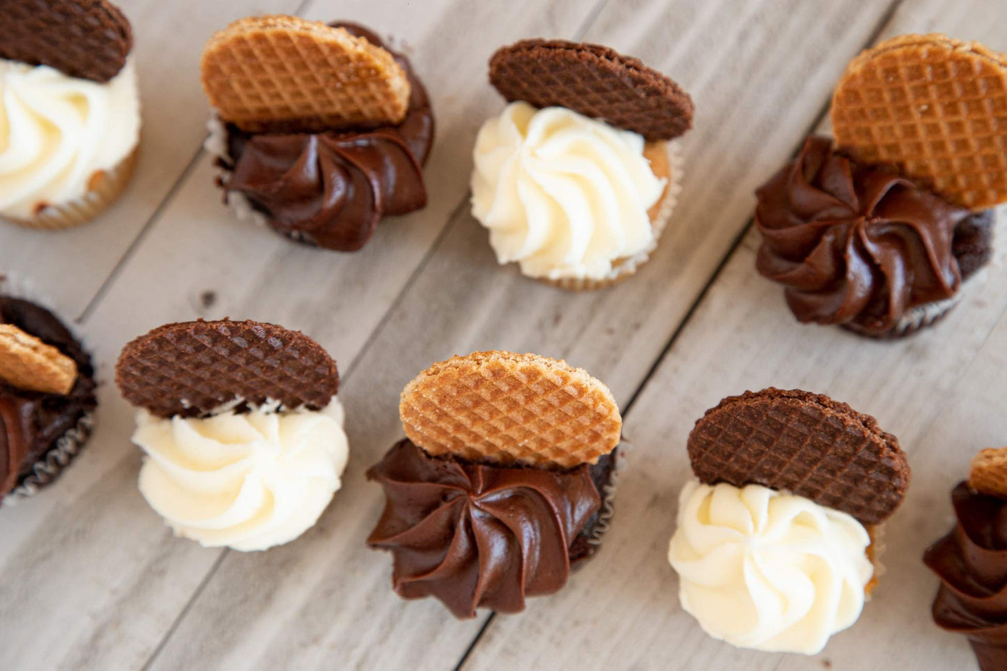 DAELMANS Stroopwafels, Dutch Waffles Soft Toasted, Caramel, Office Snack, Kosher Dairy, Authentic Made In Holland, 8 Stroopwafel