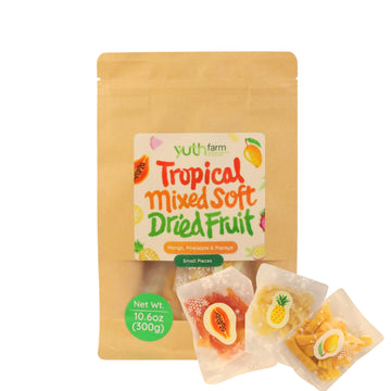 Yuth Farm Tropical Mixed Dried Fruit - Mango, Pineapple, Papaya, Natural Soft Dried Fruit Gift Set 300G (10.6 Oz) - Small Pieces