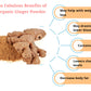 True Organic Ceylon Ginger Powder 1 Pound Bulk Bag Certified Organic Usda & Kosher Certified Non-Gmo Organic Ginger Powder Groun