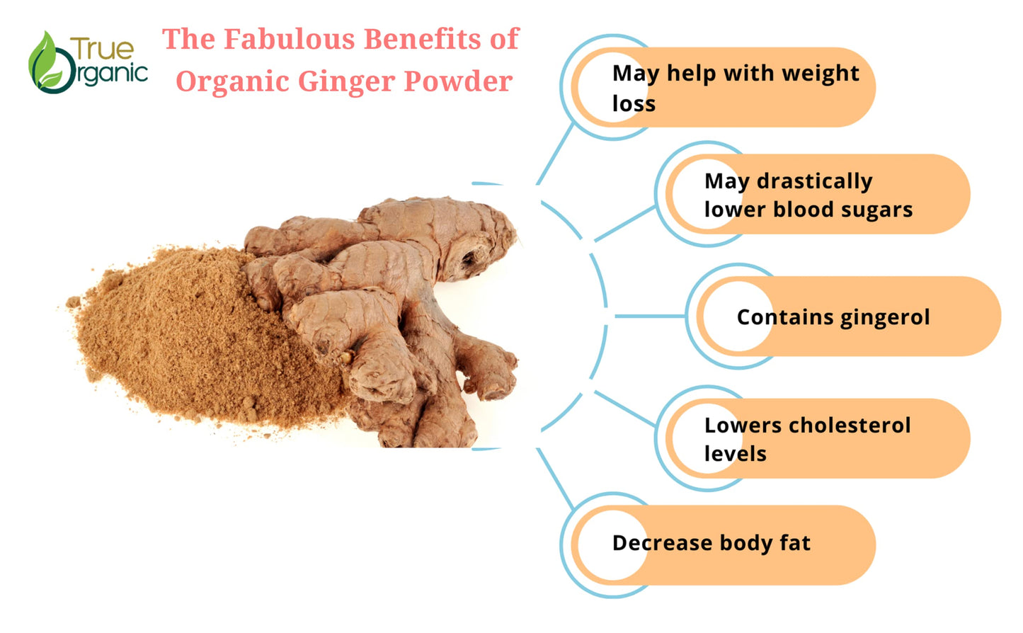 True Organic Ceylon Ginger Powder 1 Pound Bulk Bag Certified Organic Usda & Kosher Certified Non-Gmo Organic Ginger Powder Groun