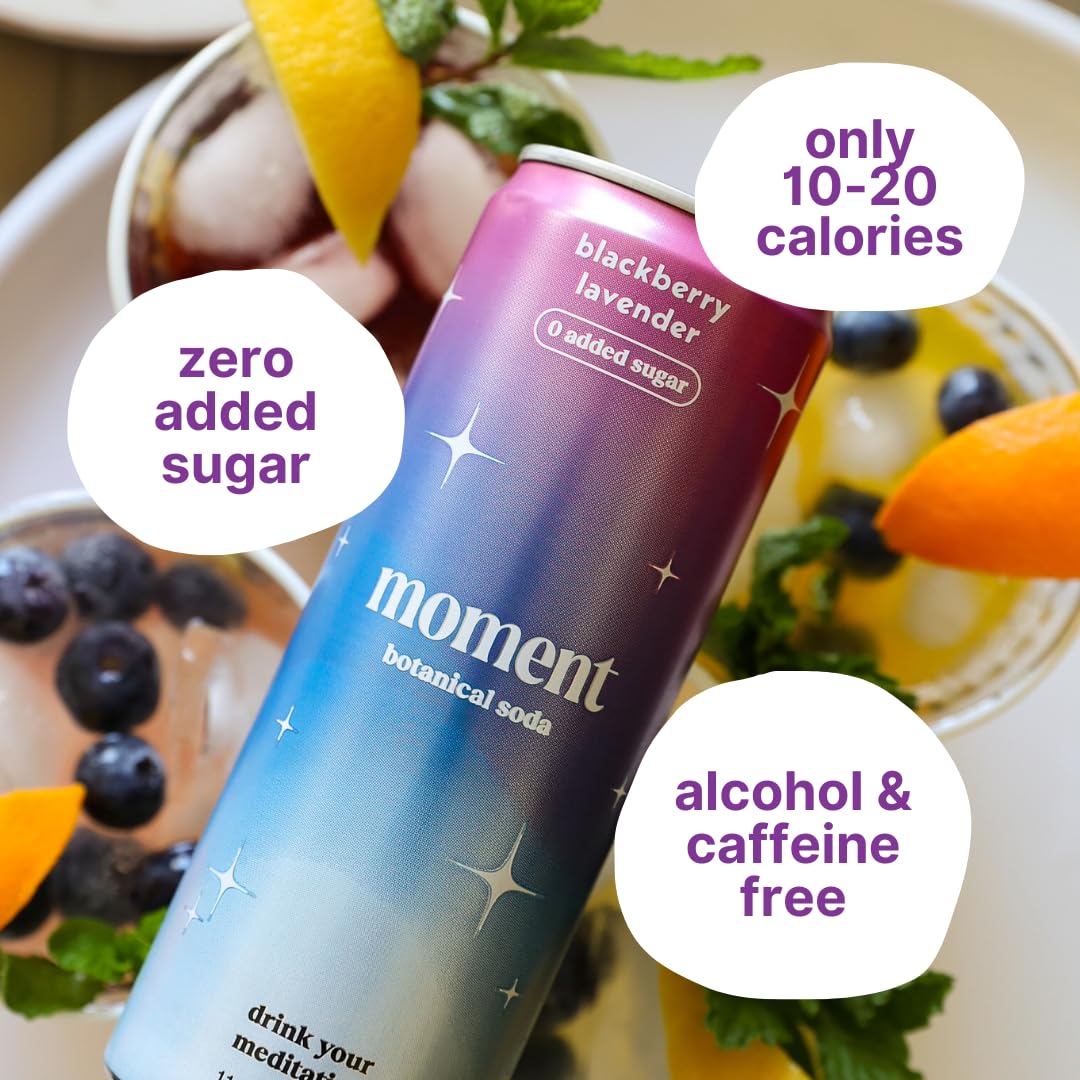 Drink Your Meditation Moment Botanical Soda - Sparkling Soft Drink, Fruity Flavor, 24-pack, 11.5 Fl Oz