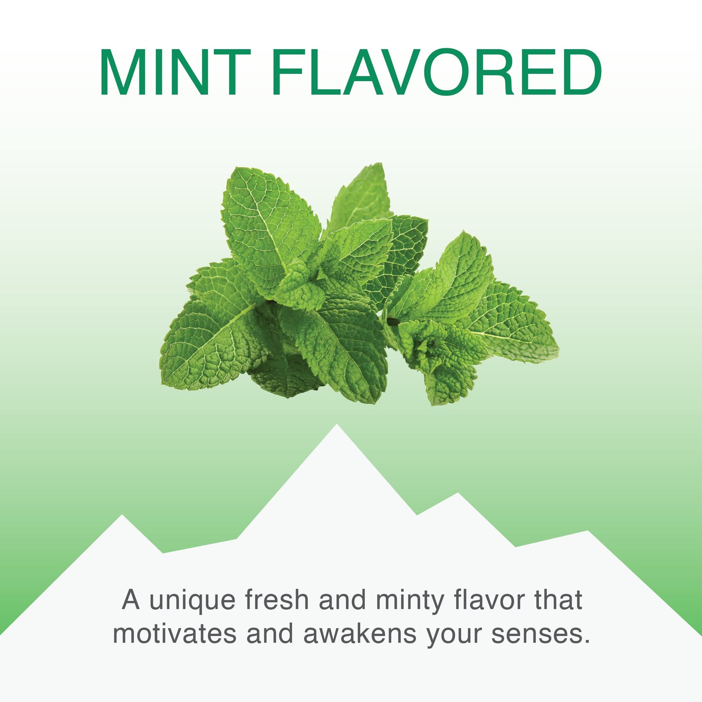 Vitalp Taste, Swiss Made, Sugar Free Candy With Stevia, Vegan, Mint Flavor, 25G/0.88 Ounce Packs, 16 Boxes