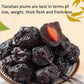 Phuumy 7.76Oz Dried Plums Dried Umeboshi Chinese Dried Plums Fruity And Full-Bodied Prunes Pitted Unsweetened