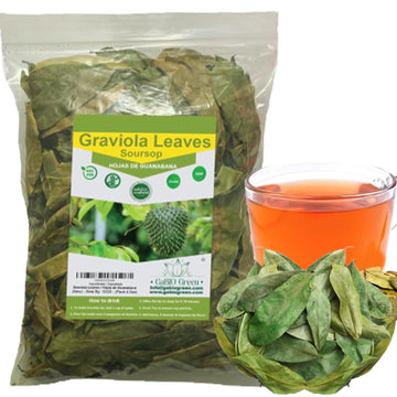 Gabio Green- Whole Soursop Leaves(1 Pound / 16.2Oz) 1.350 Leaves Aprox, Big Bag, Hojas De Guanabana, Tea Soursop, Resealable Bag