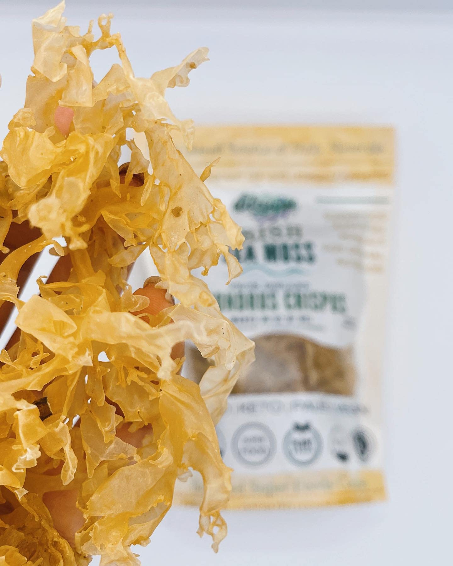 Irish Sea Moss From Ireland | Wildcrafted | Chondrus Crispus | Raw Irish Moss | Golden