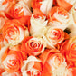 Bloomingmore | Fresh Cut Flowers | Natural Tinted Orange And White Roses | 50 Stems - 20 In | Home, Office, Wedding Decor, Diy,