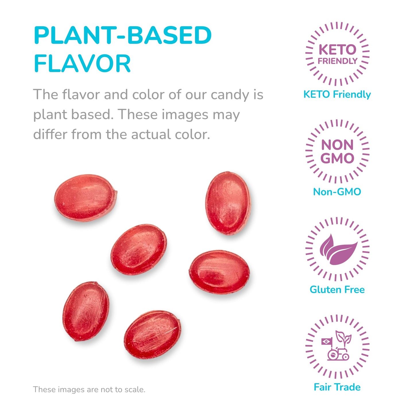 Stevita Harmony Grown Hard Candy, Mixed Berry - 1.4 Oz Shake & Share Box - Sugar Free, Non-Gmo, Keto Friendly - Made In Italy