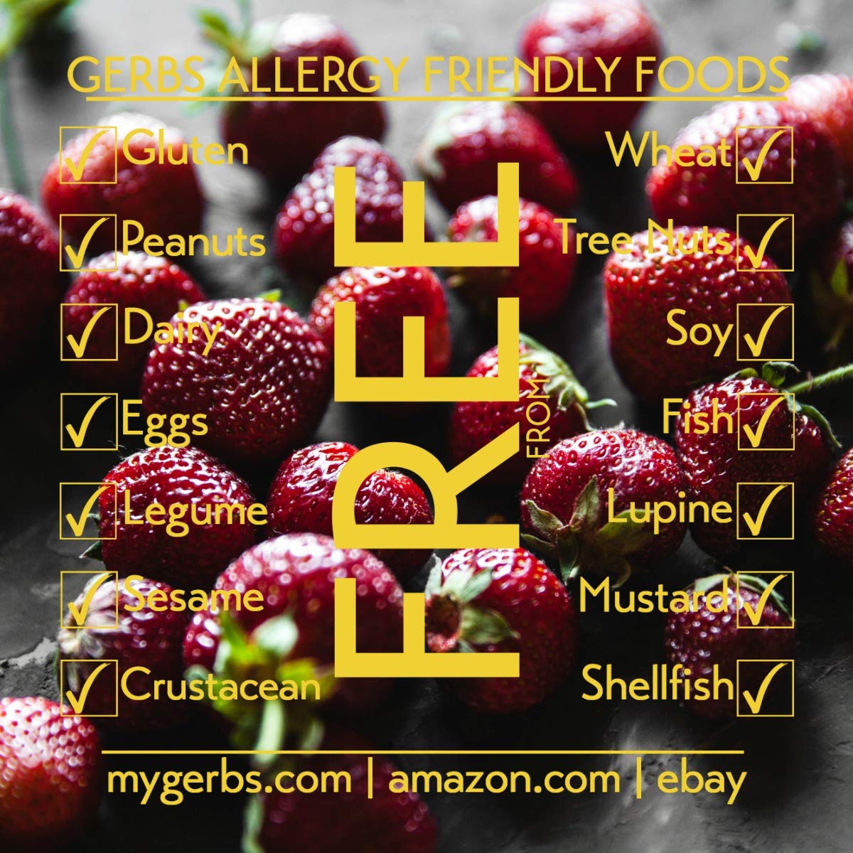 Gerbs Summer Sweet Strawberries 4 Lbs. | Freshly Dehydrated Resealable Bulk Bag | Top Food Allergy Free | Sulfur Dioxide Free Re