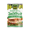 Native Forest Organic Young Jackfruit - Organic Canned Jackfruit, Jackfruit Canned, Jackfruit Organic, Vegan Meat Substitute - 14 Ounce (Pack of 1)