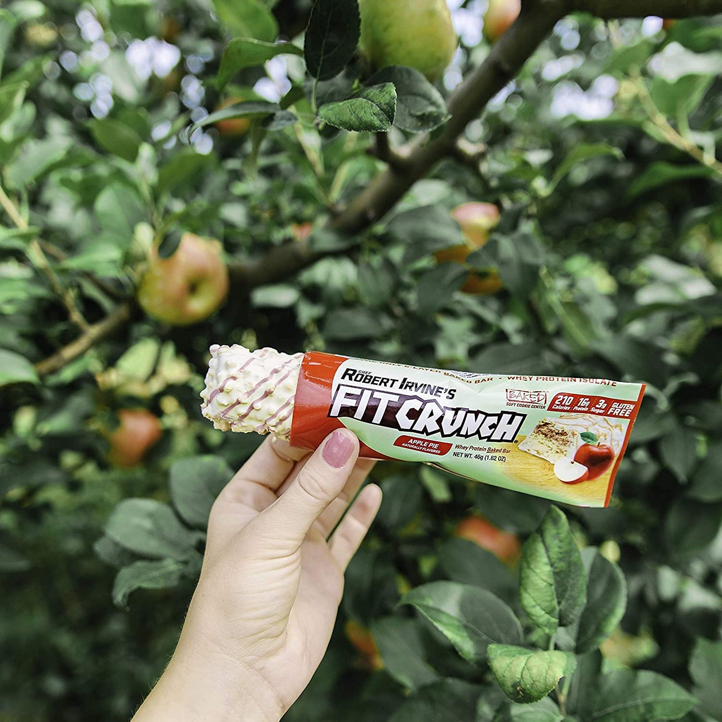 Fitcrunch Snack Size Protein Bars, 6-Layer Baked Bar, 3G Of Sugar & Soft Cake Core (18 Bars, Apple Pie)