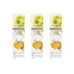Japanese Authentic Karashi Hot Mustard - 1.52 oz - Set of 3 - All Natural, Vegan, No Additives - Product of Japan