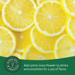 Judee's Lemon Juice Powder - 4 oz - Delicious and 100% Gluten-Free - Great for Smoothies, Shakes, Mixed Drinks, Fruit Tarts, and