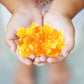 Butterscotch Hard Candy - 2 Pound Bulk Pack (About 180 Count) - Individually Wrapped