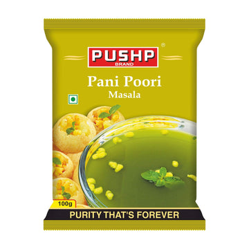 Pushp Brand Panipuri Masala Pouch (Pack of 1, 100g pack) (Pack of 1)