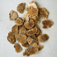 Bag Of 48 Dried Sponge Mushrooms