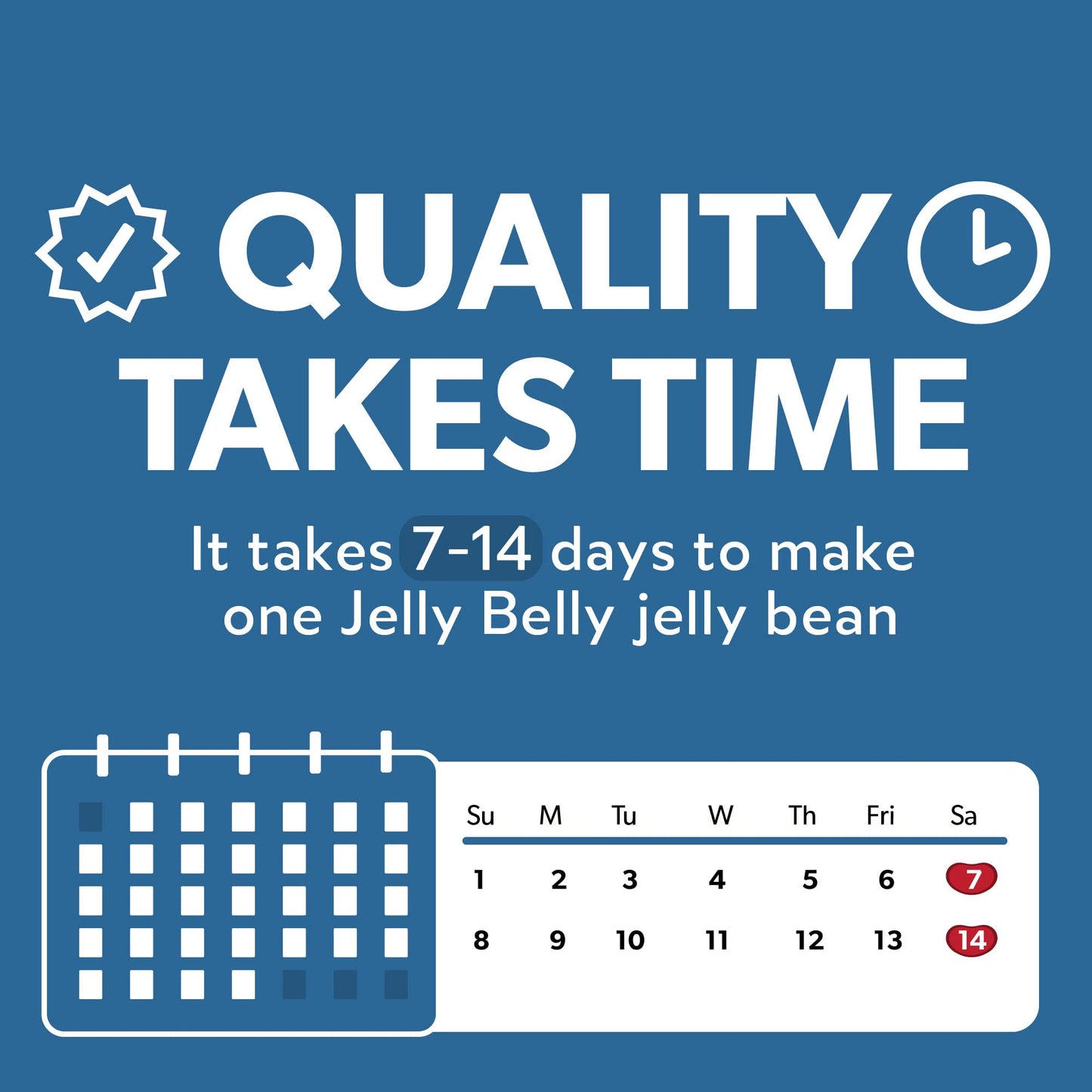 Jelly Belly Sugar Free Jelly Beans - 8.25 oz Bag - 10 Count Case - Multi Color