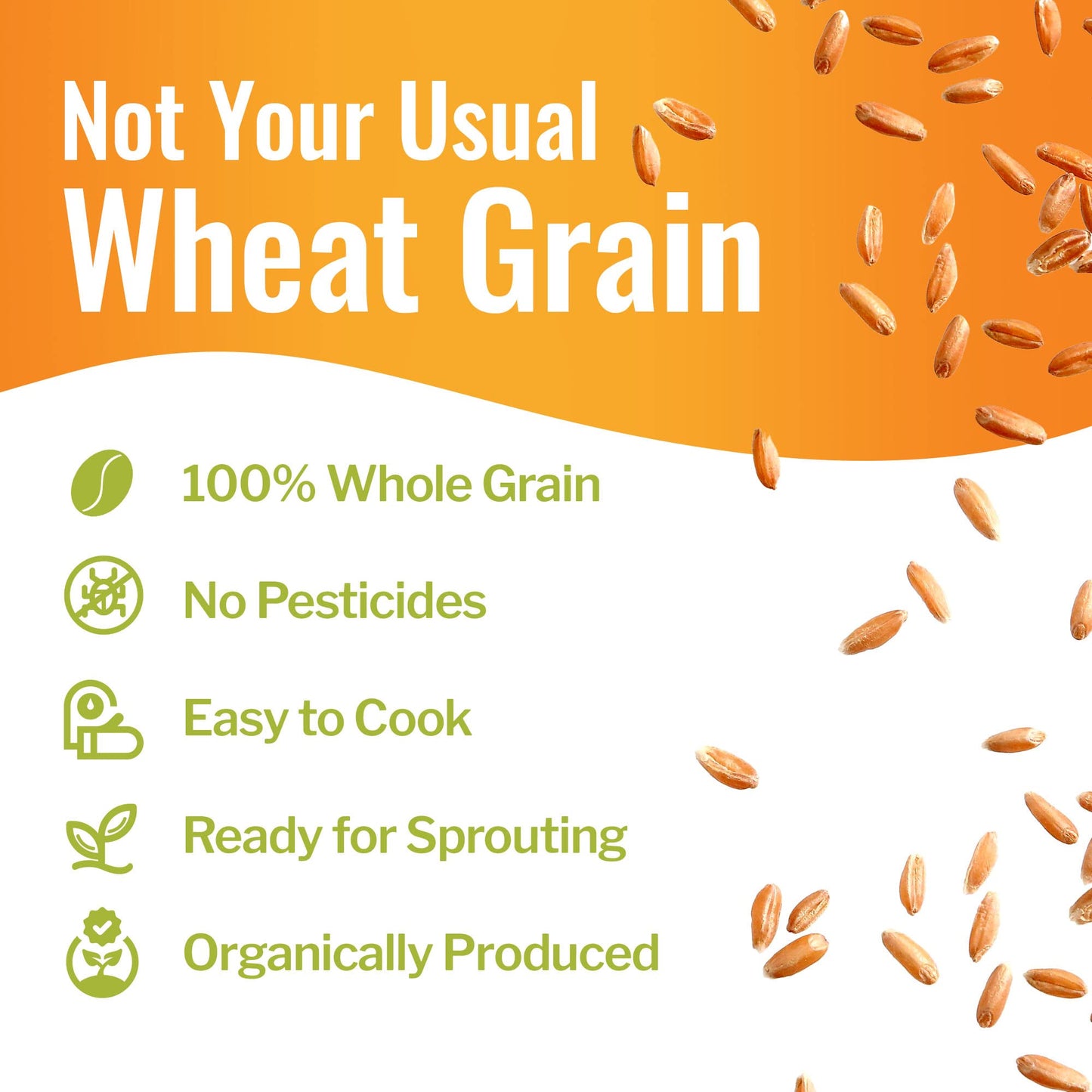 Grand Teton Organic Spelt Berries - Whole Unmilled Grain, 15 lbs, Nutritious Baking Staple