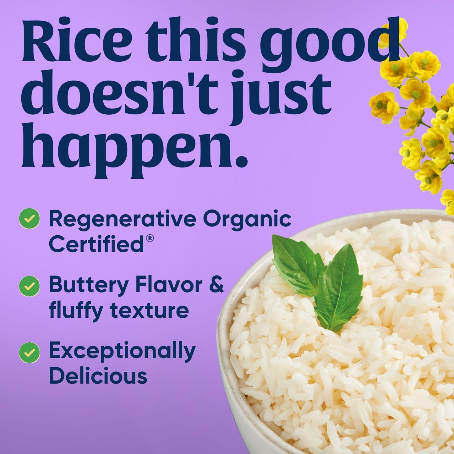 Lundberg Family Farms Organic Jasmine Rice, California White, 32 Ounce (Pack of 3)