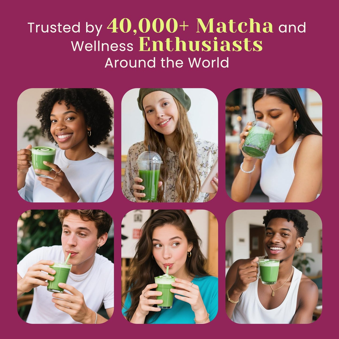 Venture Pal Matcha Powder VP205-R3