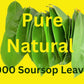 Purelife Herbs 1000 Soursop Leaves Organic
