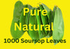 Purelife Herbs 1000 Soursop Leaves Organic