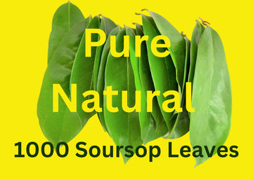 Purelife Herbs 1000 Soursop Leaves Organic