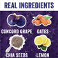 Chia Smash Concord Grape Jam Squeeze Packets | Natural, Keto & No Sugar Added | Vegan & Upcycled Fruit Spread | Low-Calorie, Sup