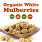 Food To Live Organic Dried White Mulberries, 8 Ounces - Non-Gmo, Unsulfured, Bulk
