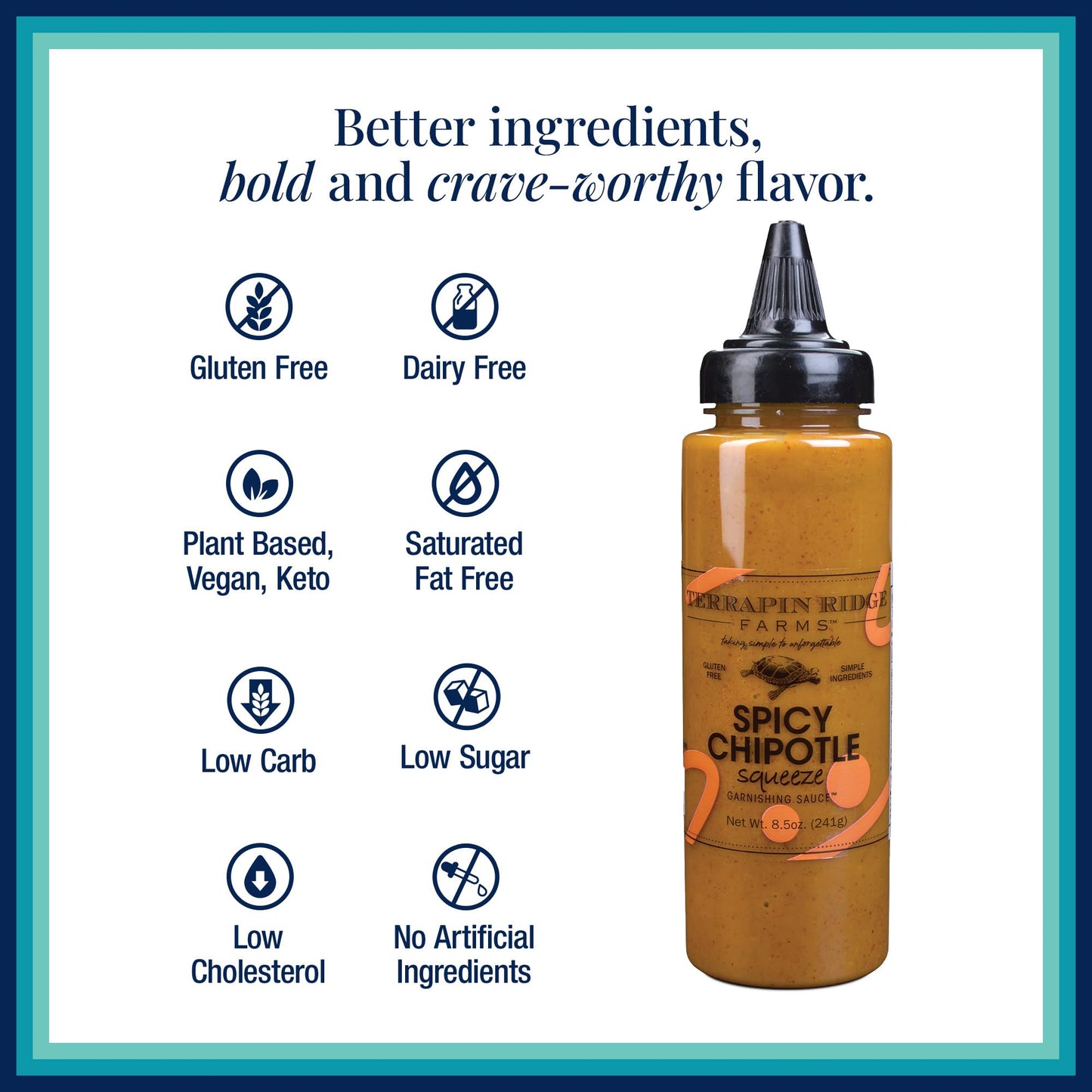 Terrapin Ridge Gourmet Spicy Chipotle Sauce - 9 Ounce Squeeze Bottles (Pack of 2)