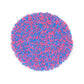 Mystic Sprinkles Baby Shower Sprinkle Mixes (Baby Surprise Nonpareils Mix 3.8Oz)