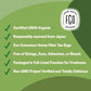 FGO Organic Japanese Matcha & Green Tea - Eco-Conscious Tea Bags, 100 Count (Pack of 1)