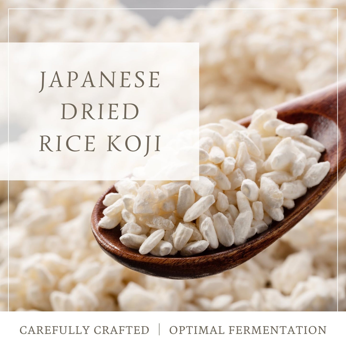 Dried rice koji 28.2oz (800g) - Carefully made in Japan, miso, shoyu, shio-koji, molted rice, ORYZAE (800g)