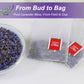 TEARELAE Lavender Tea Bags - Premium Dried Lavender Flower - Caffeine-Free - 40 Count