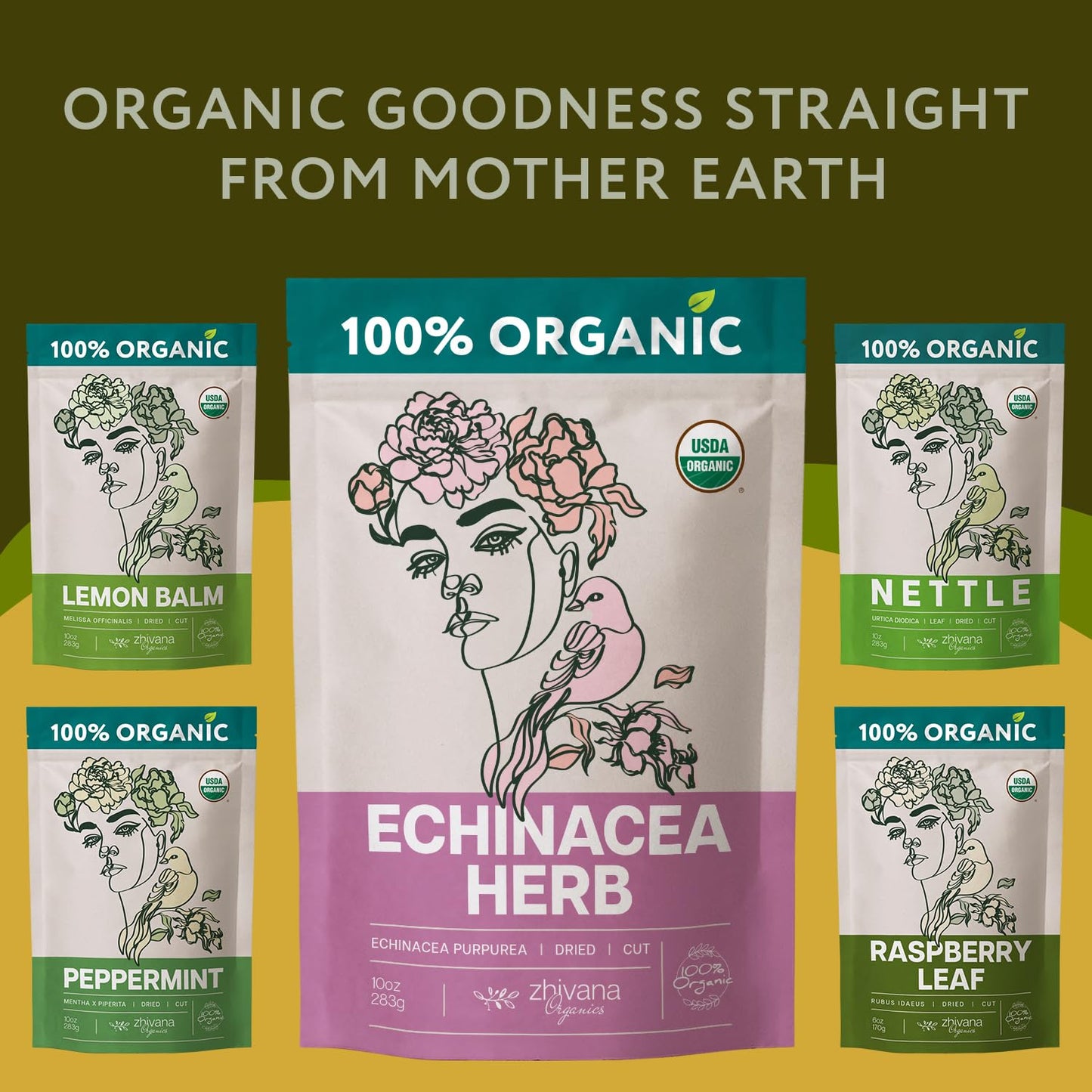 Echinacea Tea Organic (10oz.) - Echinacea Purpurea Herb Loose Leaf - Equinacea Organica - Body Defenses, Immune Support Tea