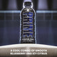 PRIME Hydration Aaron Judge  Sports Drinks  Electrolyte Enhanced for Replenishing Fluids  250mg BCAAs  B Vitamins  Antioxidants  Low Sugar  16.9 Fl Oz  12 Pack