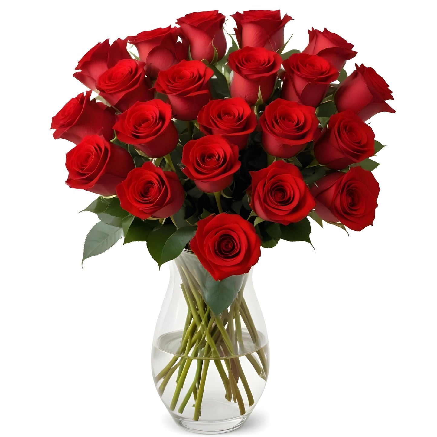 18 Red Roses with Vase | Arabella Bouquets | Real Fresh Flowers for Delivery  Gift for Birthday Women  Congratulations  Anniversary  Thank You  Mothers Day