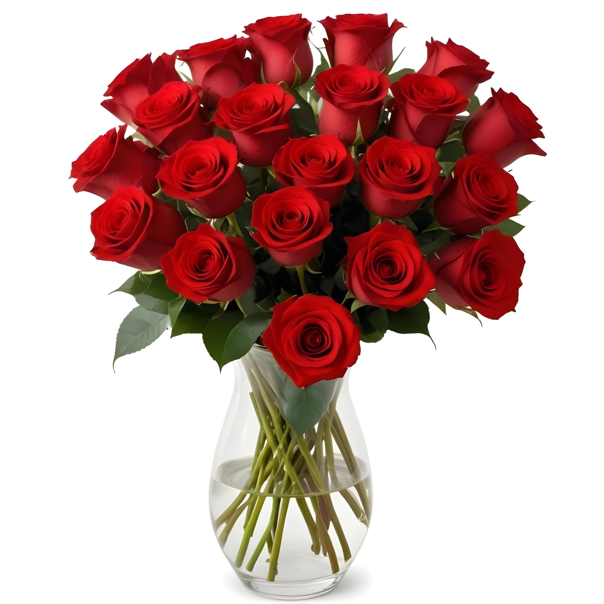 18 Red Roses with Vase | Arabella Bouquets | Real Fresh Flowers for Delivery  Gift for Birthday Women  Congratulations  Anniversary  Thank You  Mothers Day