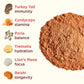 Rasa Magnificent Mushrooms Hot Chocolate | Adaptogenic Hot Cocoa Mix, Made With Organic Cacao And Organic Mushrooms | Superfunct