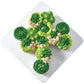 Decopac St. Patrick'S Day Fusion Mix Sprinkles, 26Oz, Green, White Candy Sprinkles In Handheld Container, Edible Decorations For Celebration Cakes, Cupcakes, Cookies And Donuts