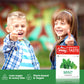 Vitalp Taste, Swiss Made, Sugar Free Candy With Stevia, Vegan, Mint Flavor, 25G/0.88 Ounce Packs, 16 Boxes