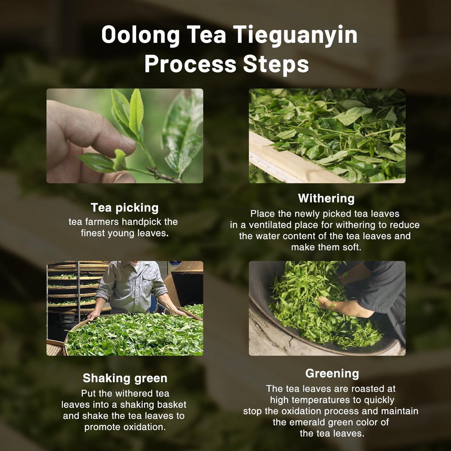 ITEAWORLD Green Oolong Tea Loose Leaf - Natural Orchid Fragrance - 100g - Organic Whole Tea Leaves - Includes 20 Empty Tea Bags