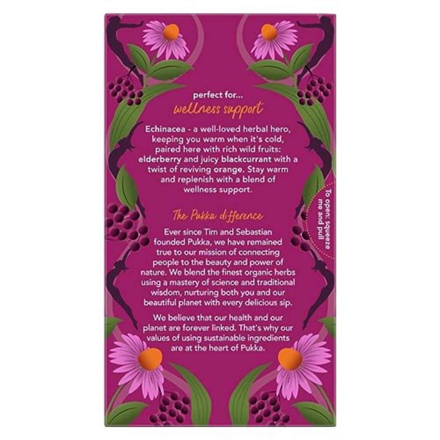 Pukka Organic Herbal Tea - Elderberry & Echinacea, Caffeine Free, 80 Tea Bags (20ct - Pack of 4)